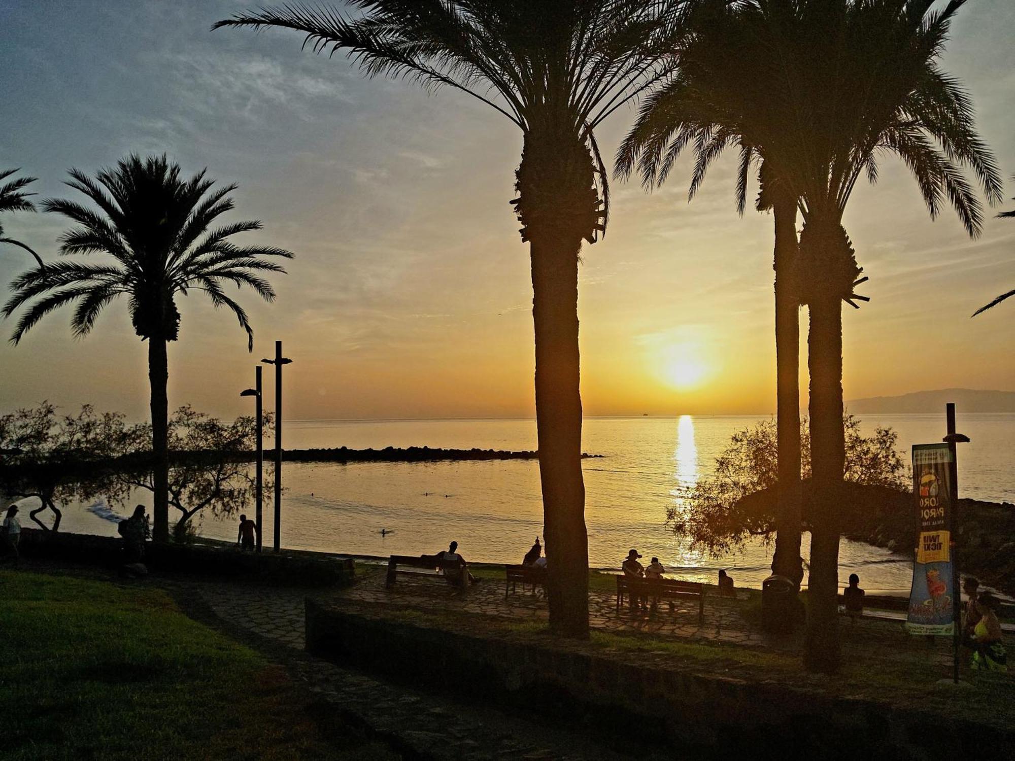 Appartamento Under The Palm Playa de las Americas  Esterno foto